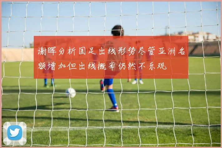 谢晖分析国足出线形势尽管亚洲名额增加但出线概率仍然不乐观