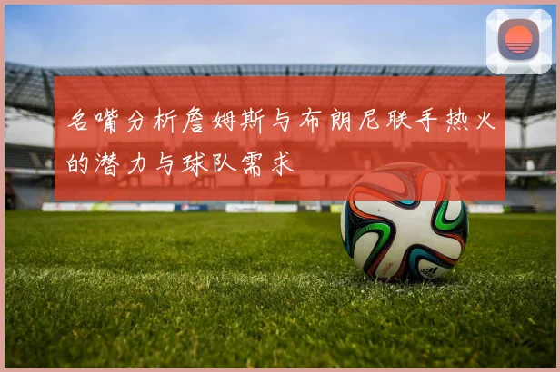 名嘴分析詹姆斯与布朗尼联手热火的潜力与球队需求